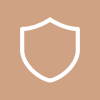 icone de um escudo representando proteção